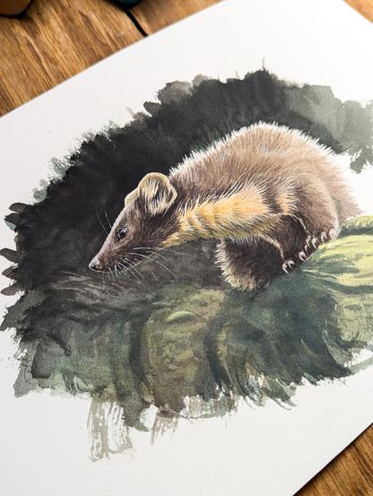 Gouache d'une Martre des pins sur une branche. gros plan