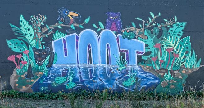 The word HOOT surrounded by jungle images above and beside. Below is its reflection in water.