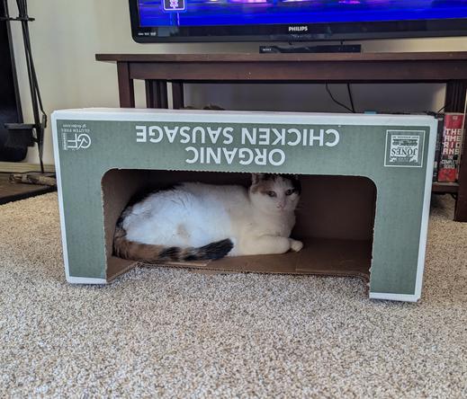A cat underneath a box with a hole in it. Text on the box says Orange Chicken Sausage