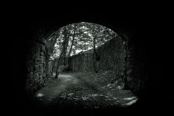 Dark, black and white image showing a woodlane lane from underneath an old railway bridge.