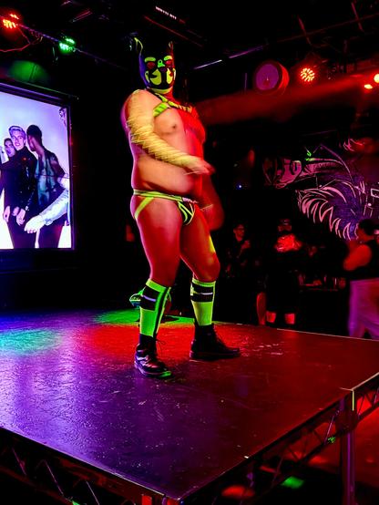 A male gogo on a raised stage in a club. He is in pup gear, in black and neon yellow/green. Mask, harness, jock, socks up to knees, shoes, and “fishnet style” arm covering. The club is dark, there’s a screen behind showing what seems to be a fashion show.  To his side in the dance floor there are people thought it’s too dark to see clearly.