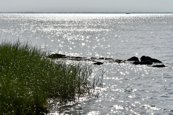 Silver sparkles created by the sun shine on the Chesapeake Bay over a group of small dark rocks with bright green marsh grasses on the left.