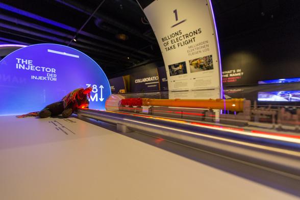 Max, das bunte Strickhorn, betrachtet sich eine Ausstellung vom Europäischen Freie Elektronen-Laser in Schenefeld; die Anlage ist symbolisch nachgebaut, bunte animierte LED-Streifen zeigen den Weg der Elektronen und später des Röntgen-Lichtes.

Hier sind wir an der ersten Station: "The Injector, der Injektor". Hier werden die Elektronen in die Tunnelanlage geschossen. Im echten Leben ist dieser Teil auf dem DESY-Gelände in Hamburg, zehn Mal pro Sekunde wird ein ganzer Zug von Elektronenpaketen in Richtung Schenefeld losgeschickt.