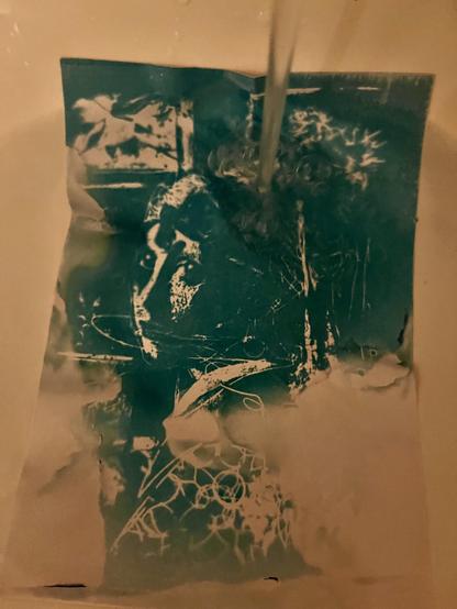 Cyanotypie im Wasernad, von meiner Collage vom Mädchen mit dem Perlenohrring. Es sind durch Wasserflecken auf dem Papier zufällige Fehler entstanden, die aber auch schön aussehen.