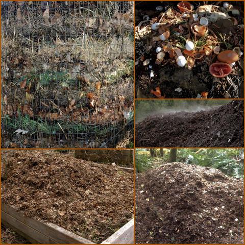A photos collage with multiple perspectives of composting scenes. The top left includes a cylindrical wire frame filled with layered decomposing materials, primarily brown leaves, grass cuttings & twigs. The top right features a close-up of organic compost with visible eggshell fragments, vegetable peels & dark soil. The bottom left shows a neatly contained pile of leaves mulch in raised garden bed, while the bottom right captures a larger compost mound, rich in texture, with both light & dark organic matter, surrounded by ferns & other foliage.