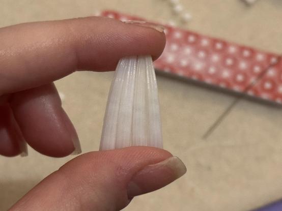 A hand holding four small white ridged dentalium shells that have been filed down to match in size, pushed together to demonstrate how they will be positioned in the earrings. In the background you can make out a red and pink checkered file and a needle.