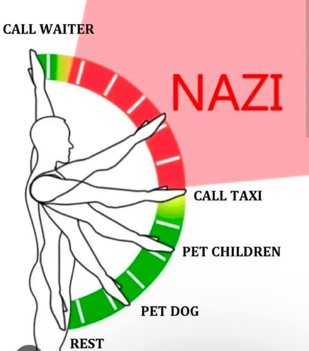 (Meaning of different arm angles, from straight up, to straight down)  CALL WAITER NAZI (where Elon held his arm today) CALL TAXI PET CHILDREN PET DOG REST