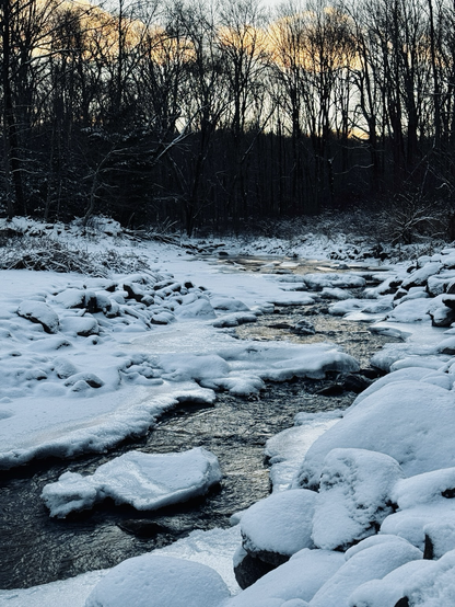 The image captures a snow-covered stream in a wooded area, likely during winter near Easton Reservoir. The flowing water cuts through the frozen landscape, bordered by snow-laden rocks and banks. Bare trees in the background form a dense, silhouetted forest, with soft hues of orange and yellow from a sunrise or sunset peeking through the branches. The scene evokes a calm, chilly atmosphere, emphasizing the natural beauty of winter.