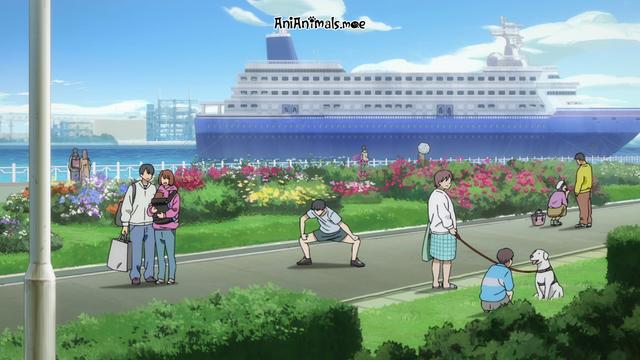 In a park next to the ocean, a white dog on a leash sits on grass facing a boy