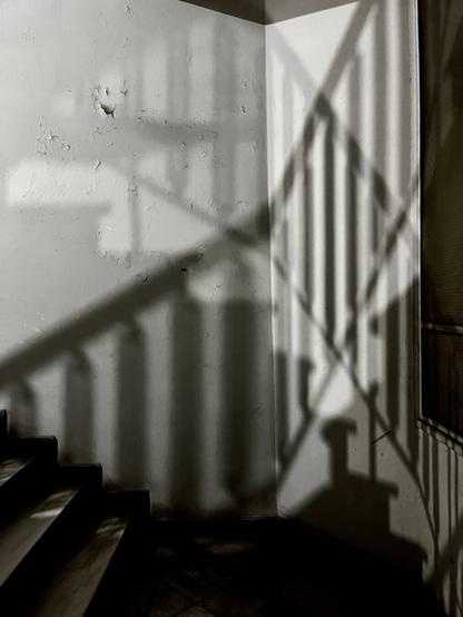 In the stairwell of an old apartment building, the shadows of the railings - vertical bars and a handrail - lit from different sources meet and cross on the wall, one faint, one dark. It looks like a black and white photograph but was taken in colour, it’s just there’s nothing there but peeling white wall and shadows.