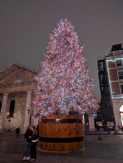 Covent Garden Christmas tree, London, at night.