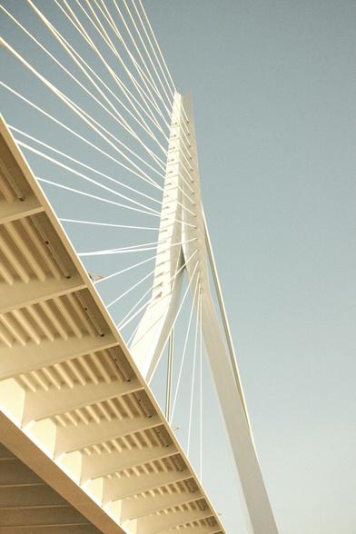 Close-up view of the Erasmus Bridge in Rotterdam, showcasing its sleek, modern design and cable patterns against a clear sky.