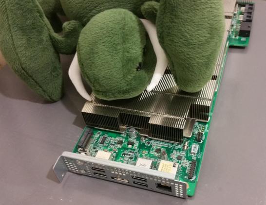 A granger sitting on a BC-250 board.