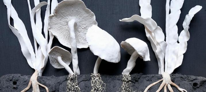 sculptures de plantes et de champignon d'un  blanc virginal