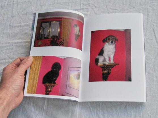 Doble página de la revista Contrafotografía 13. Se muestran tres fotografías de Elba Martínez, de unos perritos puestos en una repisa que seguramente sirve para aguantar una vela, marcos de fotos o un jarrón. El fondo es de color rosa chillón, haciendo contrastar muchísimo a los perros sobre el, también gracias al uso del flash.