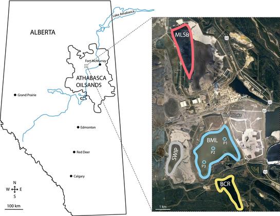 Map of sampling sites. Map of Alberta, situating Base Mine Lake and expanded view of the inset