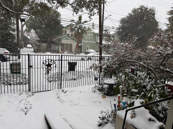 A snowy front yard with metal Texas sign in reverse.