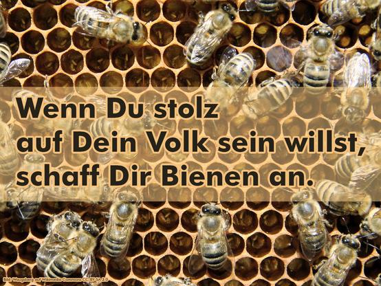 Bild von Bienen mit Text "Wenn Du stolz auf Dein Volk sein willst, 
schaff Dir Bienen an."