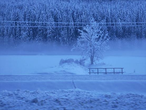 FR : un arbre gelé derrière une ligne de chemin de fer recouverte de neige au premier plan. Au second plan un brouillard s'élève au dessus d'une rivière alors qu'à l'arrière plan on peut voir une forêt de sapins recouverts de neige eux aussi. C'est la fin de journée, ce qui donne une couleur bleutée à l'ensemble.