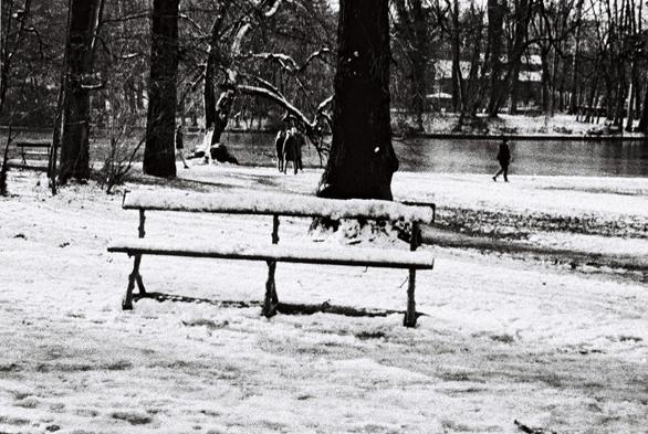A snowy bench in front of trees. Grainy black and white photo.