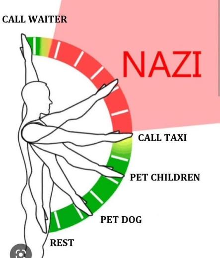 Picture of person with hand raised to various heights correlated to
Calling the waiter (in green)
Nazi salute (in red)
Call taxi ( in green)
Petting children (in green)
Petting dog (in green)