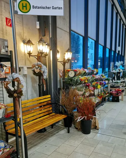 Eine Bank im Eingangsbereich eines Supermarkts, in der Pflanzenabteilung, oben ein Haltestellenschild mit der Aufschrift "Botanischer Garten"