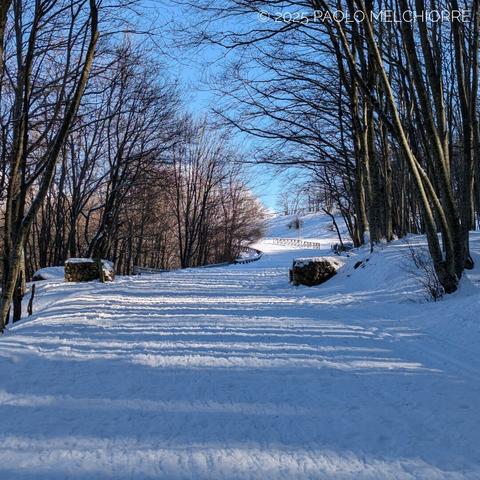 Close-up, in the beech forest, of the cross-country ski trail on the Voltigno plateau, in the Gran Sasso chain, in Abruzzo. In the background is a sunny stretch of the trail, without trees.