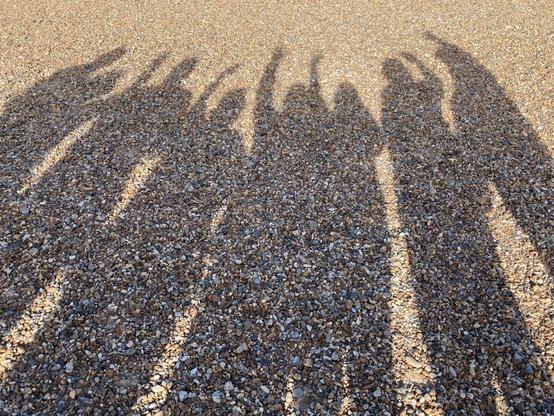Shadow thrown onto a shingle beach of a group of people who have their right hands in the air.