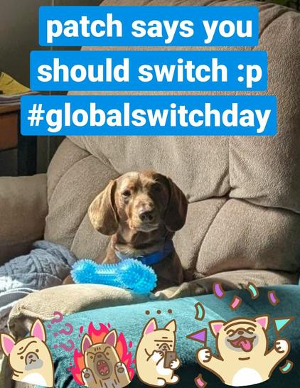 a picture of Patch asking you to partake in Global Switch Day. with stickers at the bottom. one of a confused dog, one of an angry dog, one of a dog using a phone, and finally one of a dog surrounded by confetti and celebrating (because he switched)!