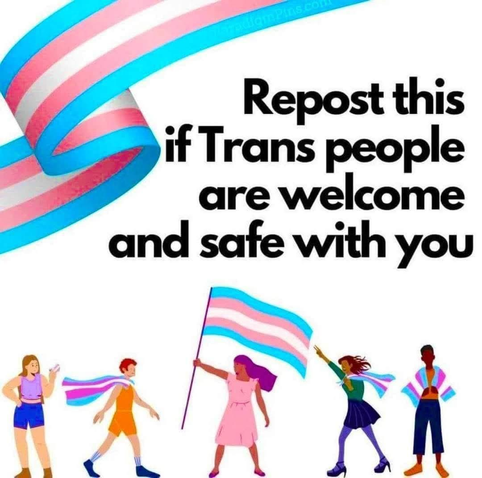 Alt text
Large ribbon in Trans Pride Flag colours is at the top left corner reaching to the top. On the left hand side, in large black letters, reads : "Repost this if Trans people are welcome and safe with you".

Below the text are four drawings of gender-diverse individuals. The one in the middle is a drawing of someone with long dark purplish hair and a pink dress with red shoes. They have a reddish brown skin tone and no visible facial features. They are holding a large Trans Pride flag. The other individuals are wearing trans pride flag colour as scarves, shawls, etc.