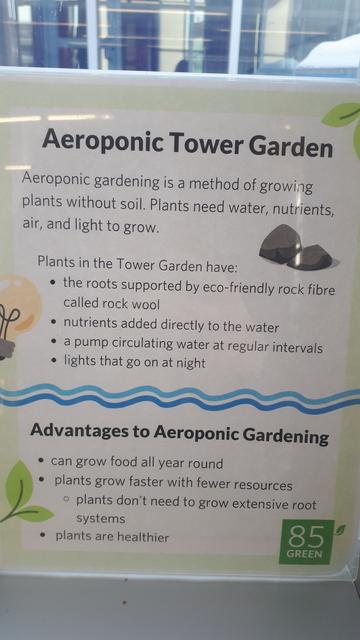 A poster reads as follows:

Aeroponic Tower Garden

Aeroponic gardening is a method of growing plants without soil. Plants need water, nutrients, air, and light to grow.

Plants in the Tower Garden have:

- the roots supported by eco-friendly rock fibre called rock wool.
- nutrients added directly to the water.
- a pump circulating water at regular intervals.
- lights that go on at night.

Advantages to Aeroponic Gardening:

- can grow food all year round.
- plants grow faster with fewer resources.
- plants don't need to grow extensive root systems.
- plants are healthier.