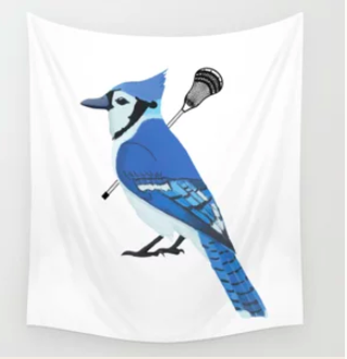 Our Blue Jay mascot is playing lacrosse, shown on a banner or wall tapestry.