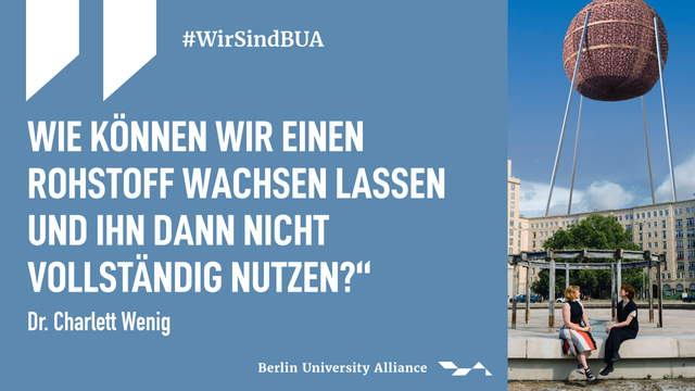 In Wirklichkeit nicht ganz so groß: Die "Bark Sphere" ist ein begehbares Ausstellungsobjekt, das die Forschung von Matters of Activity sichtbar und die Materialeigenschaften von Rinde wie Klima und Duft erlebbar macht. © BUA