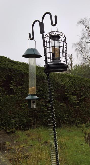 #Nope... #NotRoses... For #TheLittleTweeters...!