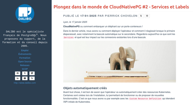 capture de l'article