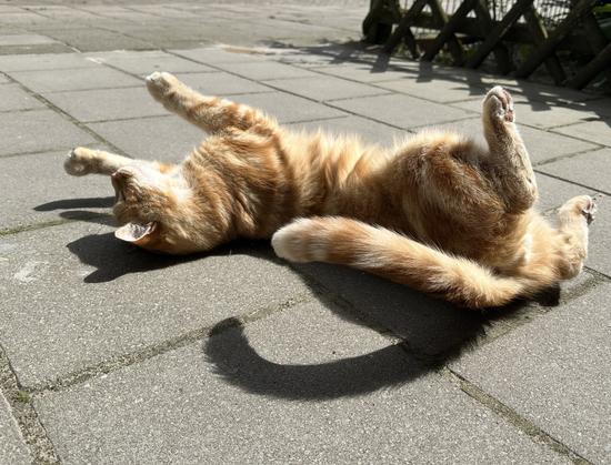Stretchy Washy on the floor