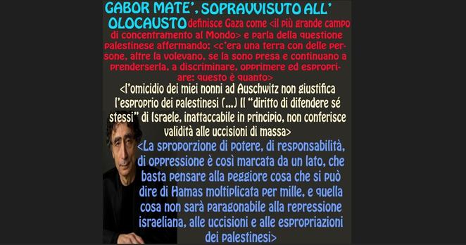 Alcune delle parole di Maté sotto riportate, che indicano la sproporzione di forza e di danni tra i due campi, oltre alle strumentalizzazioni dell'Olocausto