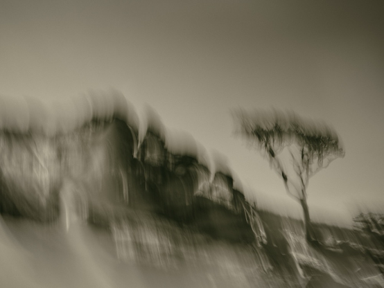 Sepia Intentional camera movement image of Kings Tor, Dartmoor