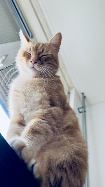 Washy looking into the camera
