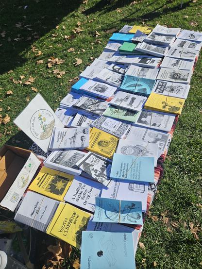 A photo of a zine table outside on a sunny day.

Some of the zine titles visible are
-abortion zine
-youth liberation now
-a radical guide to safer drug use
-why misogynists make great informants
-stop the bleed
-wild fermentation
-imperialism and criminalization of the Palestinian people
-staying free by shutting the fuck up