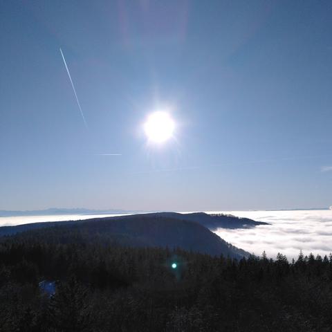 View from the Hagen tower across the Randen above the clouds. In the distance the Alps are visible.