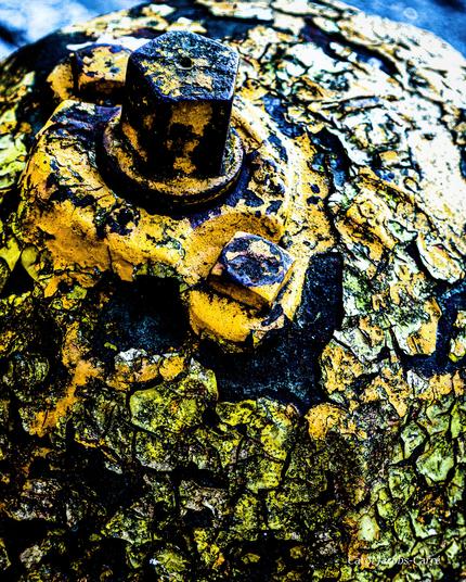 The yellow paint on a fire hydrant is decomposing into scales and adding a bit of lichen for a shot of green.  You can see the dark metal between the scales. It perhaps looks leprous!