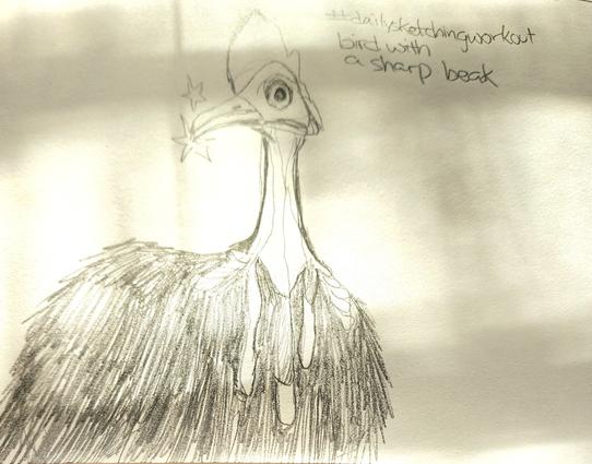 A pencil sketch of a cassowary
