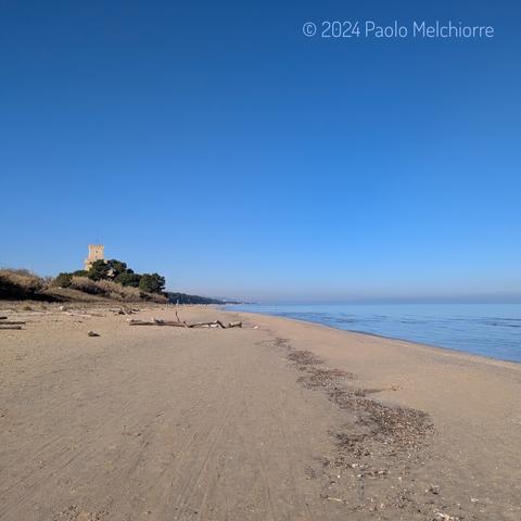 The Cerrano Tower, in Pineto, Abruzzo, surrounded by maritime pines, and the beach in front, bathed by the Adriatic Sea, which hides the ancient submerged Roman port, now within the marine reserve.