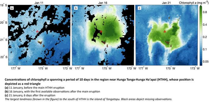 maps - Concentrations of chlorophyll a spanning a period of 10 days in the region near Hunga Tonga-Hunga Haʻapai (HTHH), whose position is depicted as a red triangle. (a) 11 January, before the main HTHH eruption; (b) 16 January, with the first available observations after the main eruption; (c) 21 January, 6 days after the eruption. The largest landmass (brown in the figure) to the south of HTHH is the island of Tongatapu. Black areas depict missing observations.