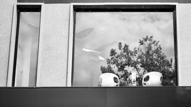 Black and white photograph looking up at a window on the first floor of a city building.  Two stark white chairs are visible through the window. Leaves of a tree are reflected on the window glass.
