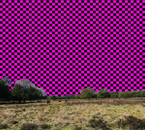 Photo of a field with cows and trees, expect the blue sky has been replaced with the missing texture pattern (purple and black squares) from Half Life 2.
