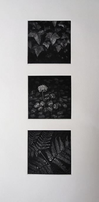 Print of the three plates together, arranged vertically.