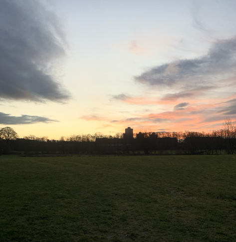 A Sunrise above a green field in Glasgow.  A treeline and tenement building are visible in the background.