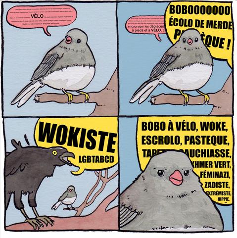 Meme en 4 cases :
- 1ere case : un oiseau parle posement, seul sur une branche. (Dans la bulle on peut lire des locutions latines écrites en tout petit et au milieu, en plus gros, le mot "vélo")
- 2eme case : même oiseau qui continue à parler (dans la bulle, toujours des locutions latines ecrit en tout petit, et en plus gros : "encourager les déplacements à pieds et à vélo"). Une bulle plus grande et avec un fond d'une autre couleur recouvre en partie la 1ere, on peut y lire "Bobo ! Écolo de merde ! Pastèque !"
- 3ème case : on voit toujours en fond le 1er oiseau, et au 1er plan le corbeau qui hurlait les "insultes" en case 2. Ici il hurle "Wokiste ! LGBTABCD !"
- 4ème case : une bulle remplie des "insultes" hurlées par le corbeau : "Bobo à vélo, woke, escrolo, pastèque, gauchiasse, khmer vert, féminazi, zadiste, extrémiste, hippie, ...". Et la tête, blasée, du 1er oiseau qui du coup s'est tu puisqu'on ne l'entendait plus..
